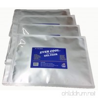 4 Pack EverCool by Cooler Shock Large Party Packs 10 x 14 Cooler Freeze Packs - Reusable Cooler Ice Pack Replaces Ice - Easy Fill- You Add Water to Mix Iron-seal & Save - Longest lasting guaranteed - B01N39WVN3