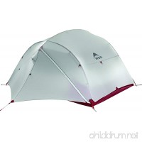 MSR Mutha Hubba NX Tent - B00GP11XWM
