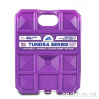 Arctic Ice Tundra Series Reusable Cooler Pack - B011ZX5CF8