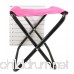 Daiso Mini Folding Chair Stool Beach Camping Traveling 10 x 8.25 (Weight Capacity 110 lb) - B01IS5XWXA
