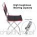 Portable Folding Camping Chair with Backrest Aluminum Alloy Mini Fishing Chair Small Stool Seat Come with Carry Bag for Hiking Camping Picnic Travel - B07FPLKLZD
