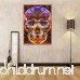 Swyss 5D Embroidery Paintings -DIY Full Diamond Painting Cross Stitch-Art Home Decor-30X40cm-Skull - B07FQJTJTK