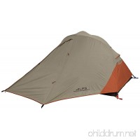 ALPS Mountaineering Extreme 2 Person Tent - B00BF3T8W2