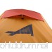 ALPS Mountaineering Mystique 2-Person Tent - B00BESSMGG