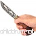 Grand Way Hunting Knife - Decorative Fixed Blade Knife - Classic Stainless Steel Hunting Knife with Wood Handle FB 1818 - B073RHKMJX